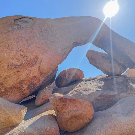 New Property! The Cactus Villas At Joshua Tree National Park - Pool, Hot Tub, Outdoor Shower, Fire Pit 二十九棕榈村 外观 照片