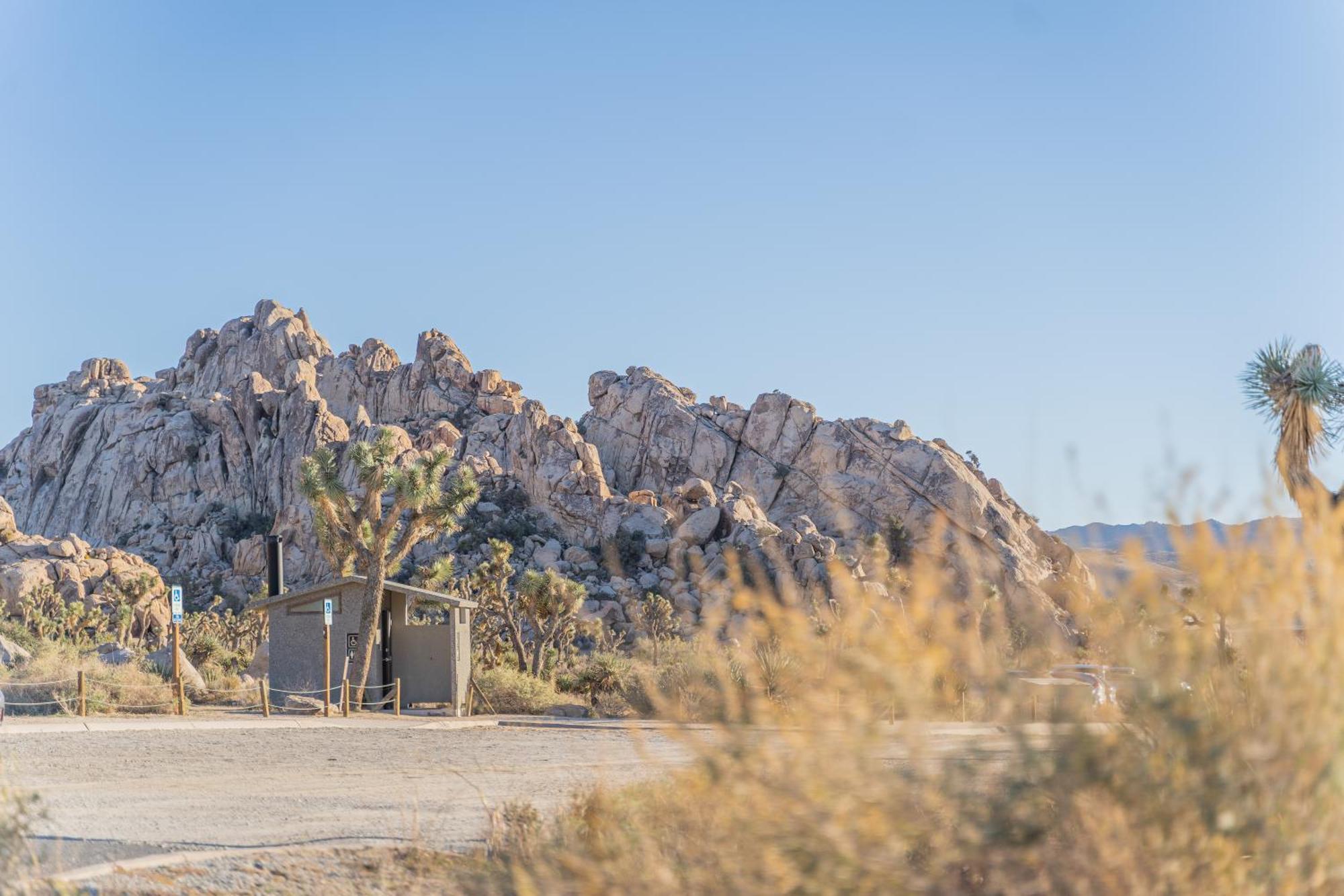 New Property! The Cactus Villas At Joshua Tree National Park - Pool, Hot Tub, Outdoor Shower, Fire Pit 二十九棕榈村 外观 照片